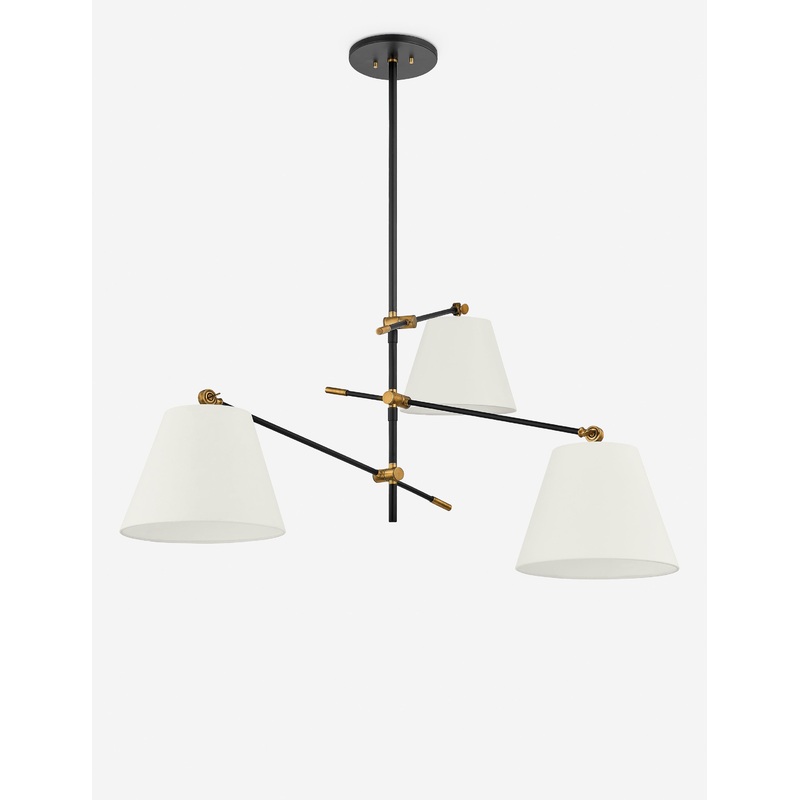 Navin Chandelier by Colin King x Troy Lighting Black 52.5″Dia
