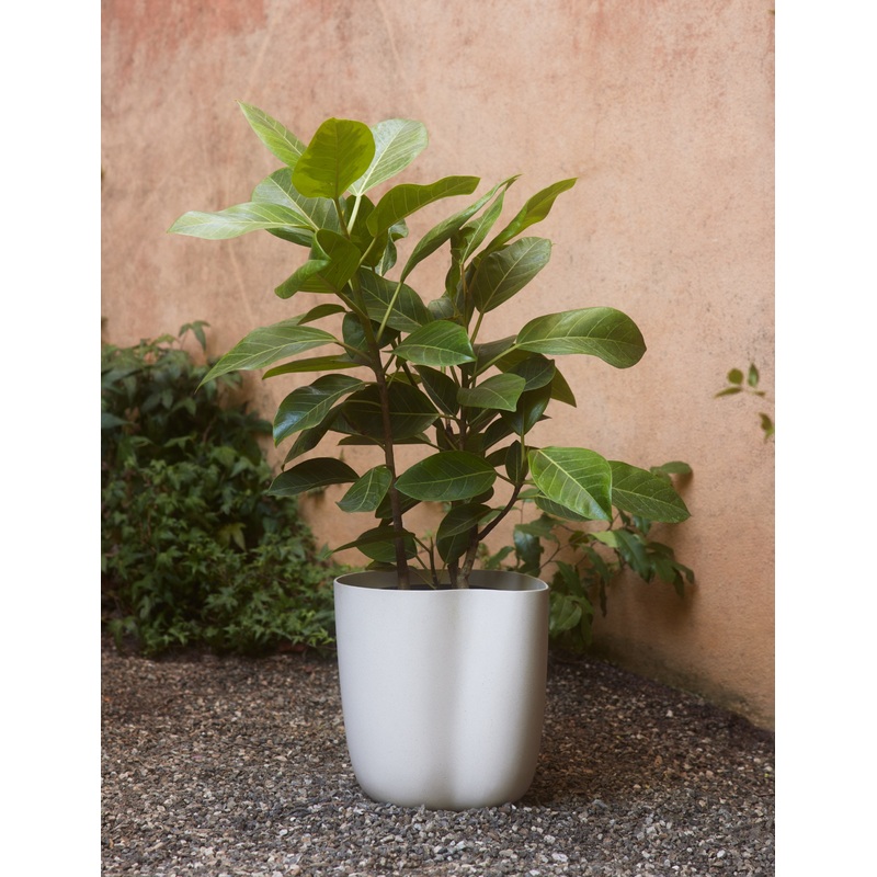 Dempsy Planter by Sarah Sherman Samuel Eggshell Small