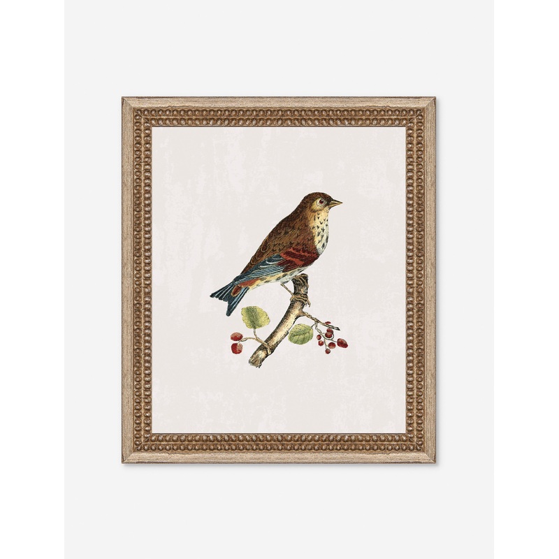 Small Birds I Wall Art by Old World 12″ x 14″