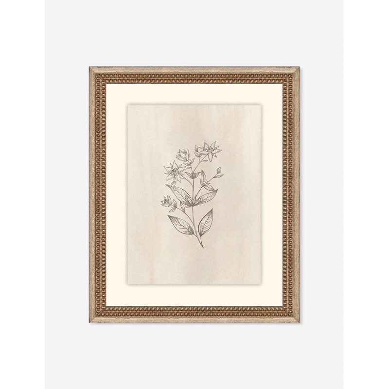 Elegant Botanical VII Wall Art by Makai Howell 14″ x 17″