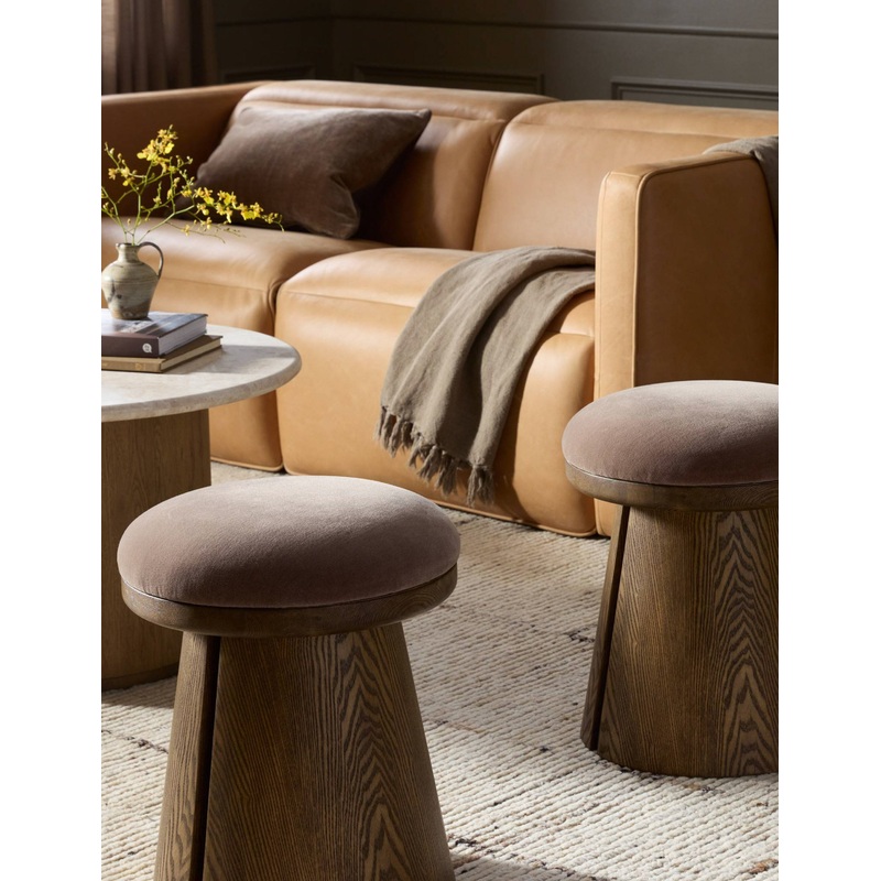 Salinger Stool Mushroom