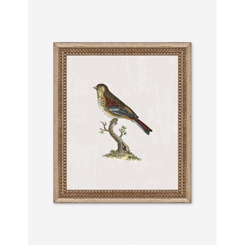 Small Birds II Wall Art by Old World 12″ x 14″