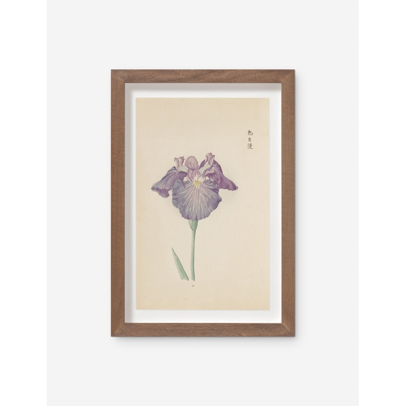 Vintage Japanese Iris No. 29 Wall Art by Miyoshi Manabu