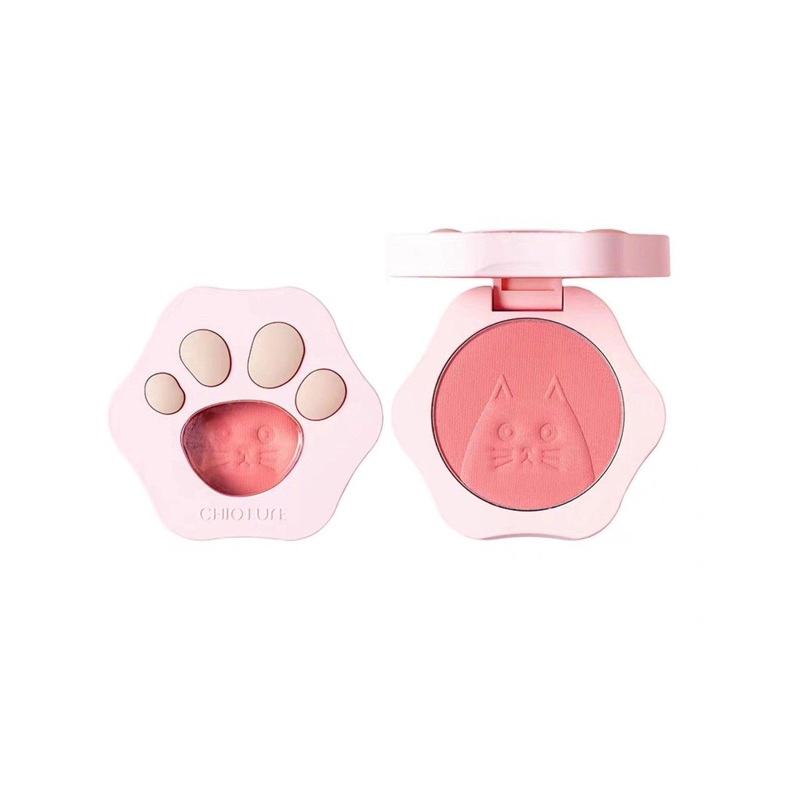 Chioture Sweet Paw Blusher 3.1g 804 3.1g