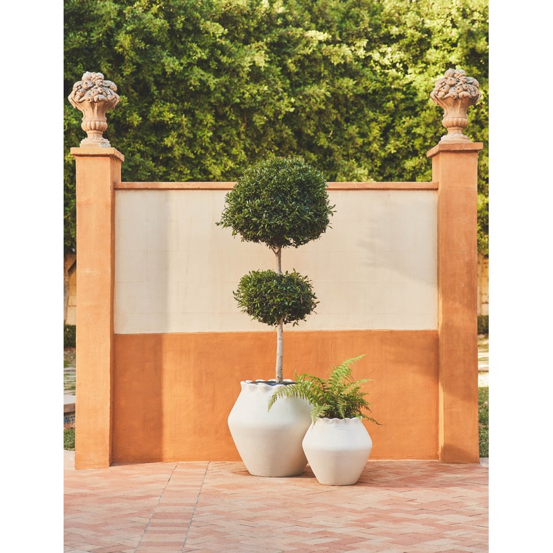 Jaziel Indoor/Outdoor Planter White Large