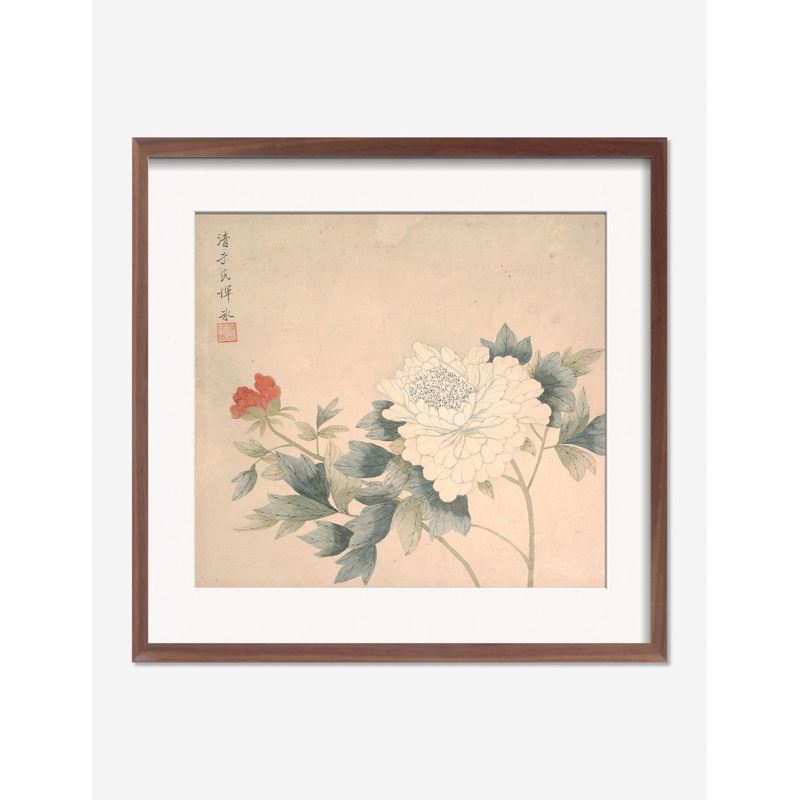 Flower Study 2 Print by Yun Bing Unframed 22″ x 24″ Unframed