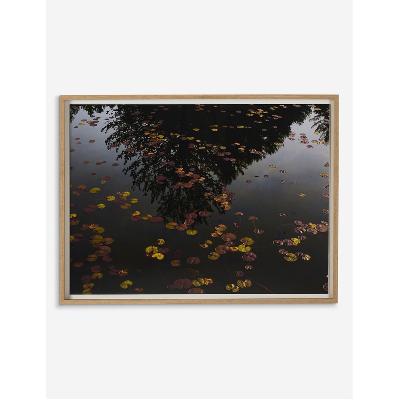 Echo by Shade Degges 48″ x 36″