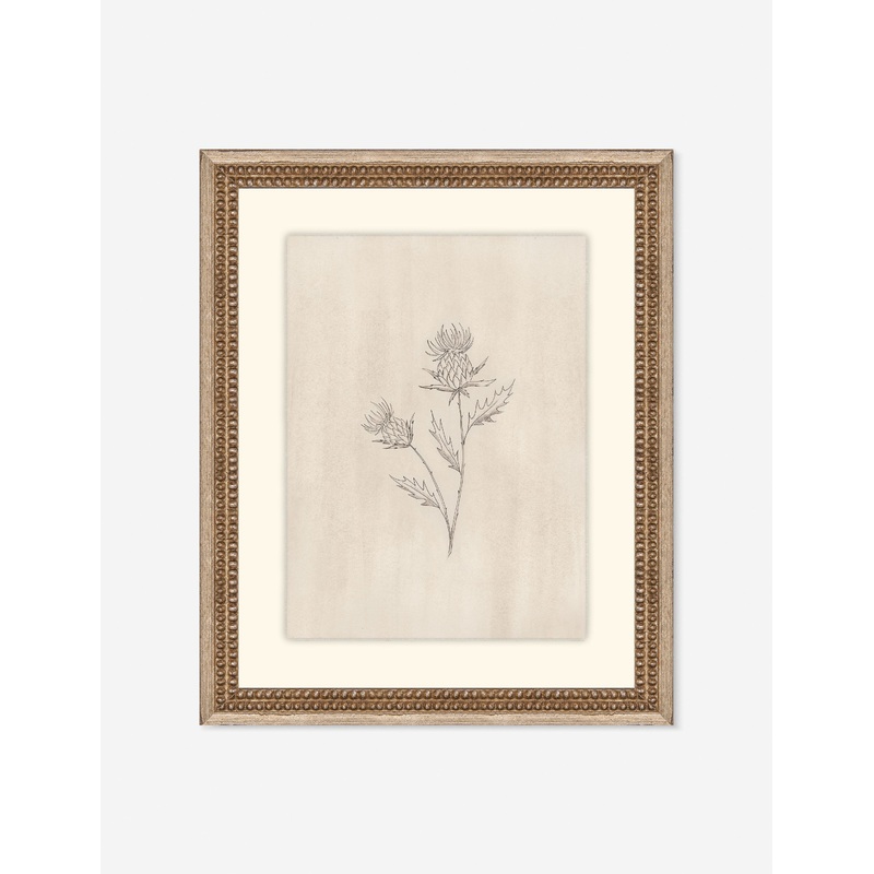 Elegant Botanical V Wall Art by Makai Howell 14″ x 17″