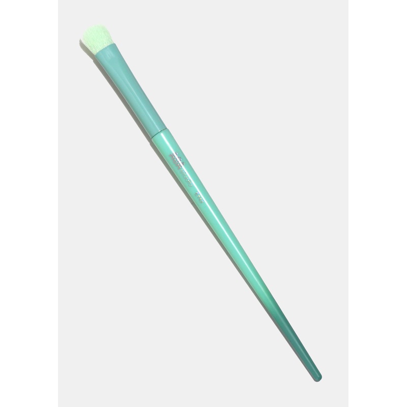 AOA Rainbow Single Brush  E143 Shader or Concealer Brush
