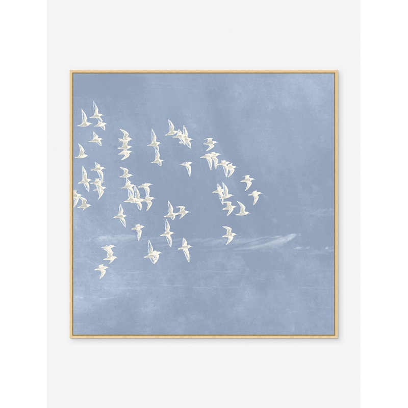 Blue Day Flight 2 Print 48″ x 48″