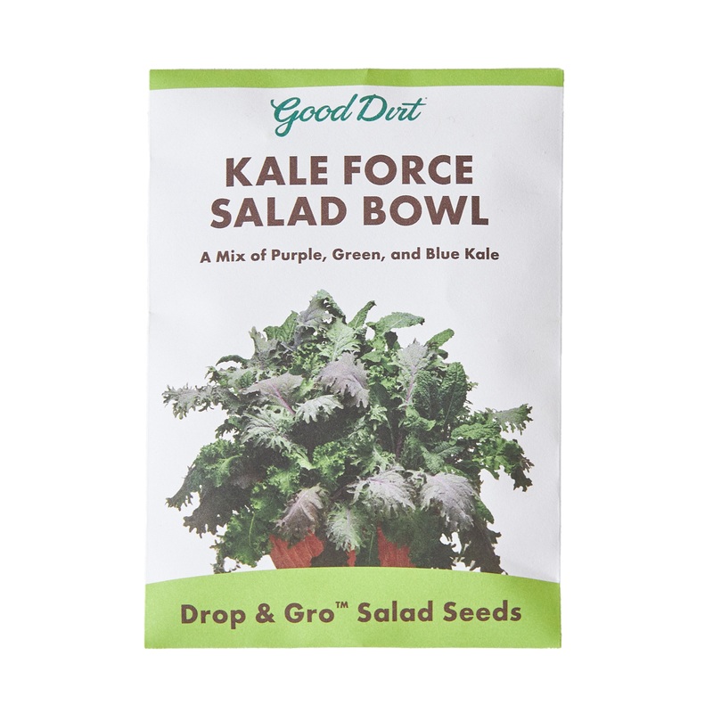 Seed Pack Kale Mix – Green, Blue & Purple Kale